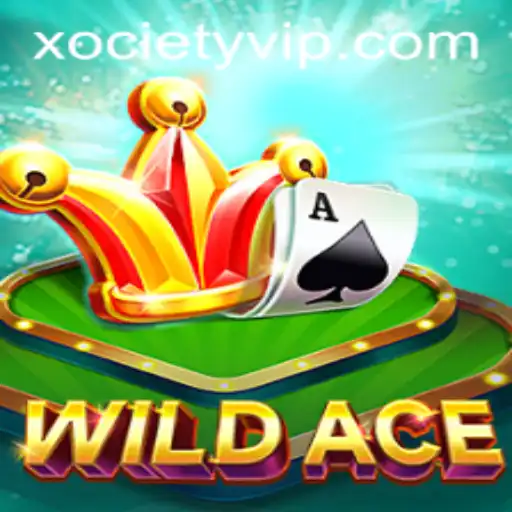 Exploring the Exciting World of WildAce: A Journey into Xociety